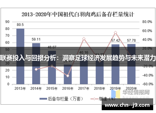 联赛投入与回报分析：洞察足球经济发展趋势与未来潜力