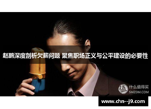 赵鹏深度剖析欠薪问题 聚焦职场正义与公平建设的必要性