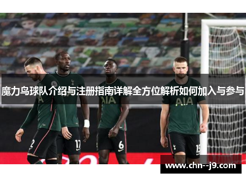 魔力鸟球队介绍与注册指南详解全方位解析如何加入与参与