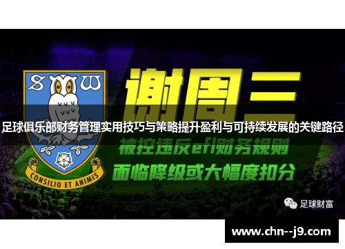 足球俱乐部财务管理实用技巧与策略提升盈利与可持续发展的关键路径